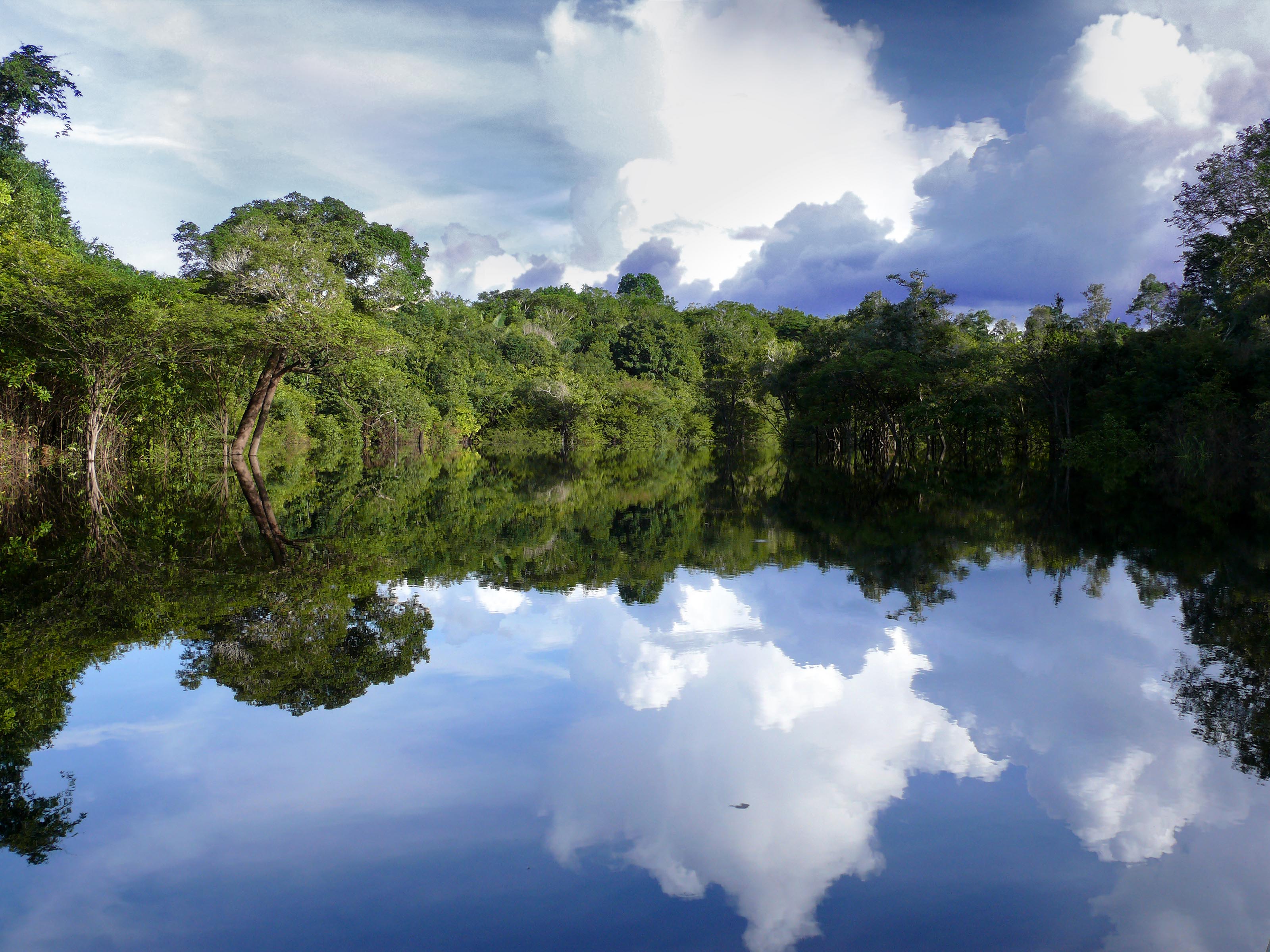 XL Brazil Amazon River Reflections Nature Landscape