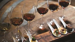 Small Australia Barossa Valley Seppeltsfield Winery Winetasting SA