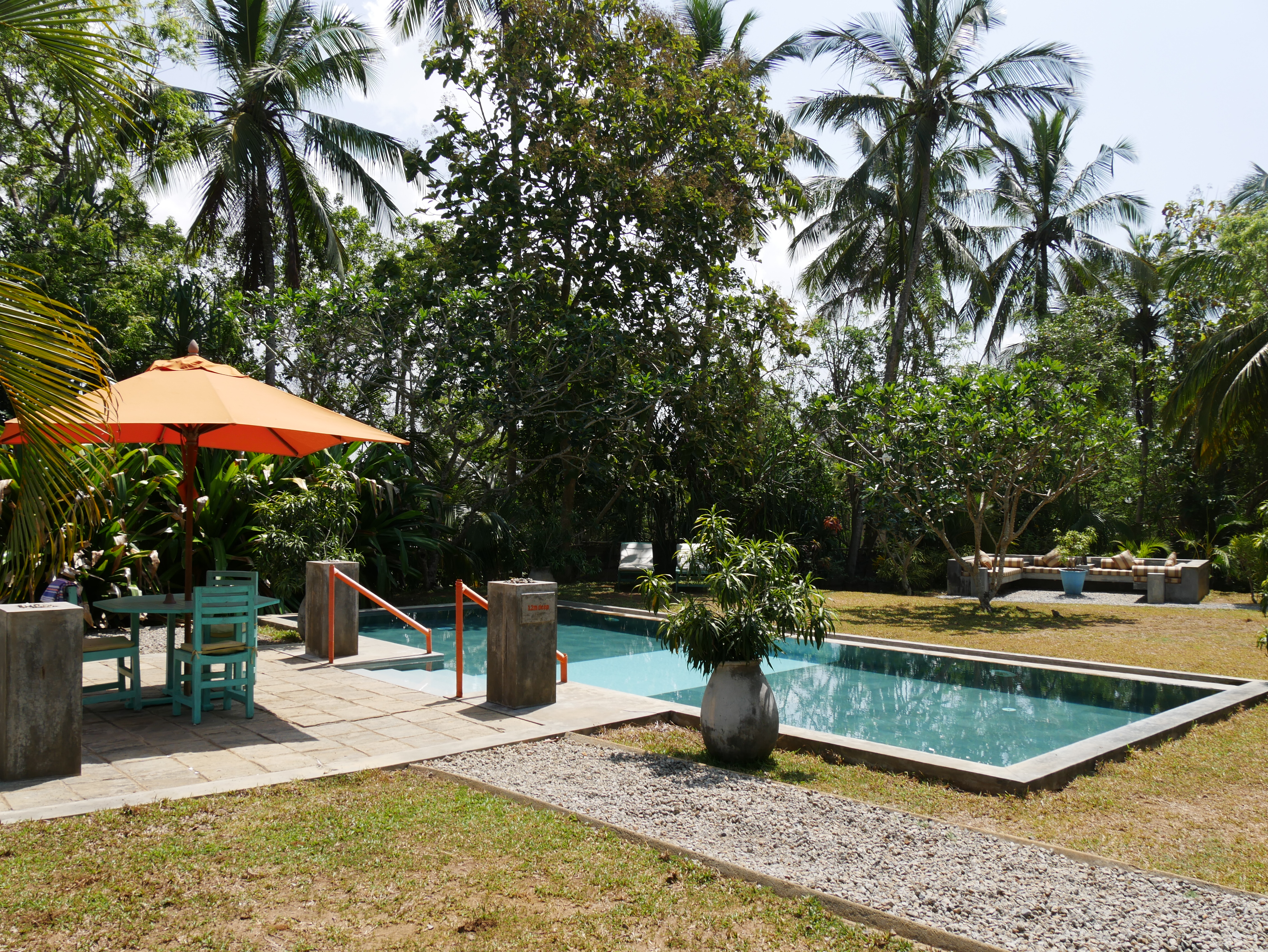 XL Sri Lanka Tangalle Buckingham Place Pool Area Palms Sunbeds