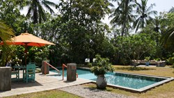 XL Sri Lanka Tangalle Buckingham Place Pool Area Palms Sunbeds