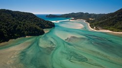 Xl New Zealand Abel Tasman National Park