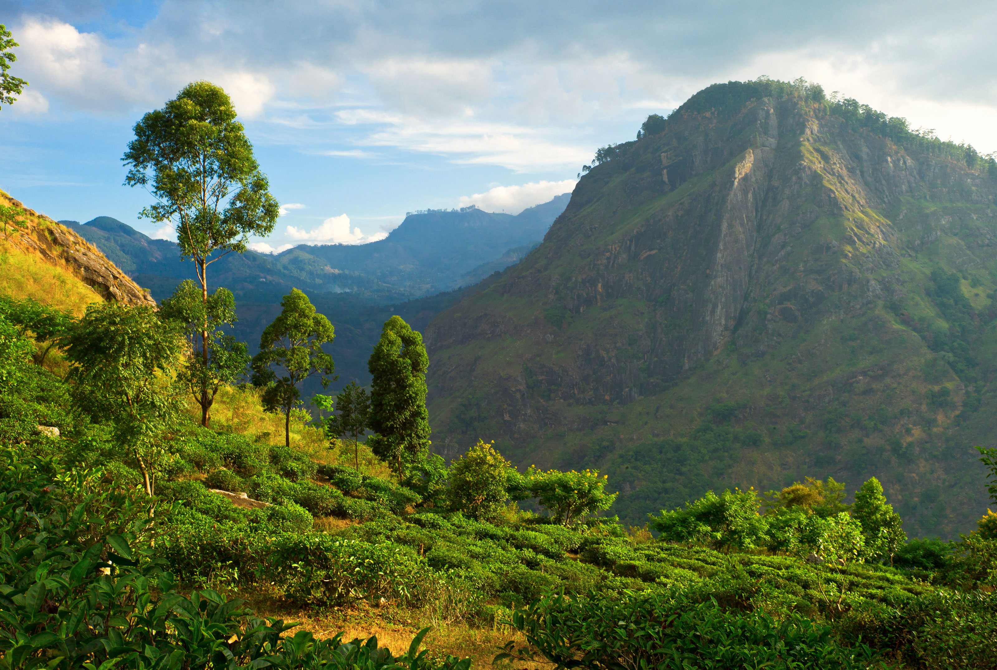 Xl Sri Lanka Ella Ella Rock Mountain View Nature