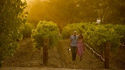 XL Australia Barossa Valley Vineyard Winery Couple People Walking Sunset Wine South Australia