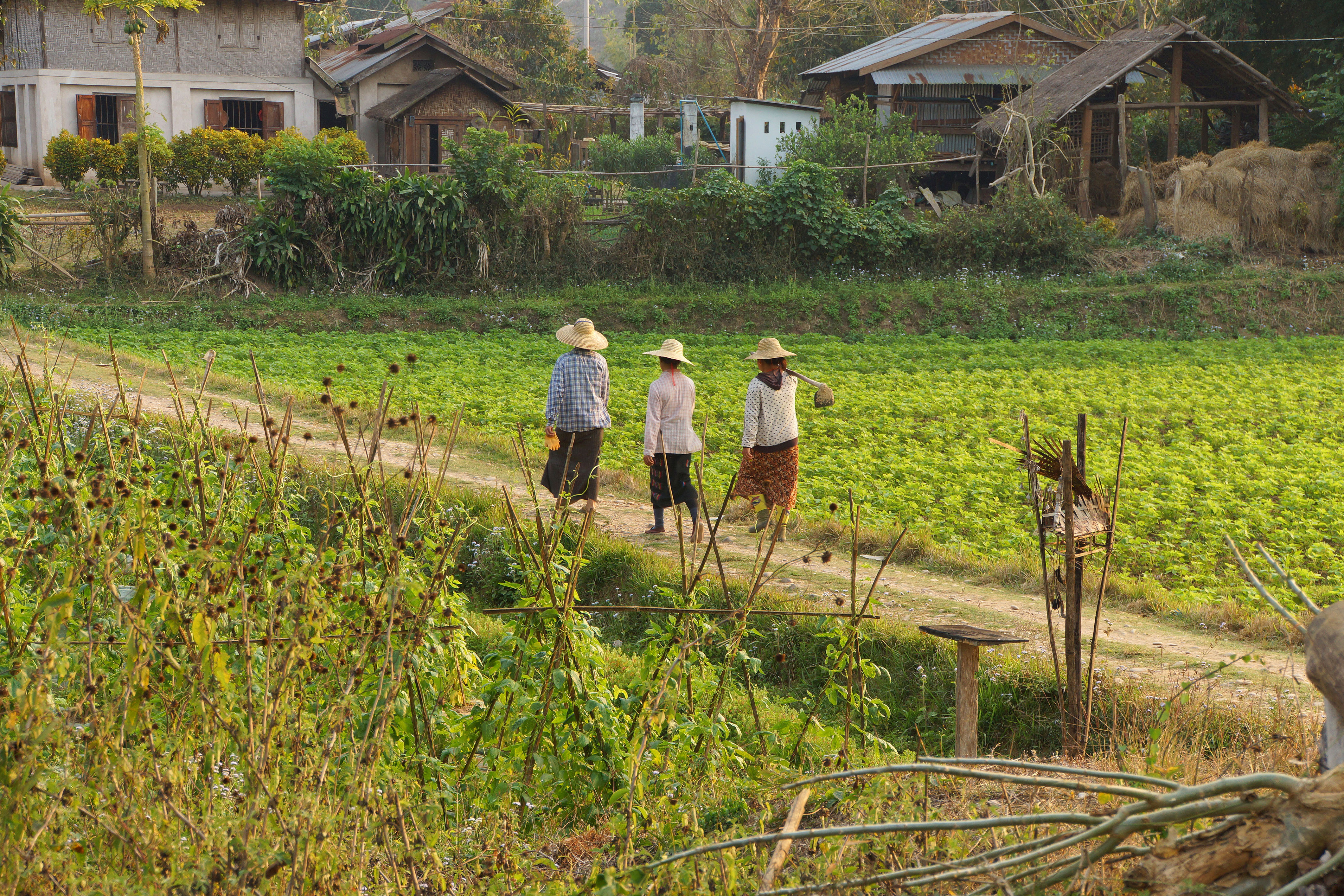 XL Burma Hsipaw Workers