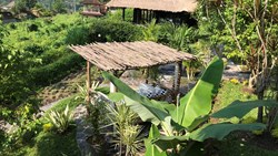 Xl Bali Samanvaya Padi Puthi Villa Deluxe Garden