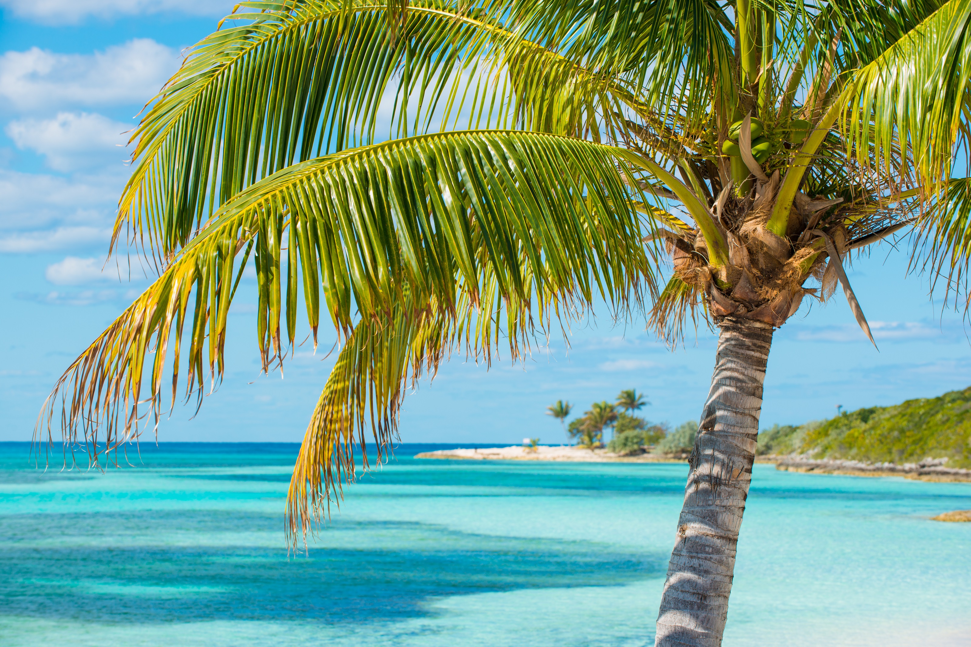 XL Caribien Bahamas Coco Cay Caribbean Island Luxury Beach Oasis