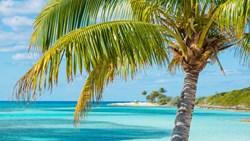 XL Caribien Bahamas Coco Cay Caribbean Island Luxury Beach Oasis