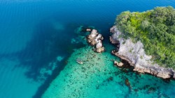 XL New Zealand Coromandel Boat Trip Whitianga