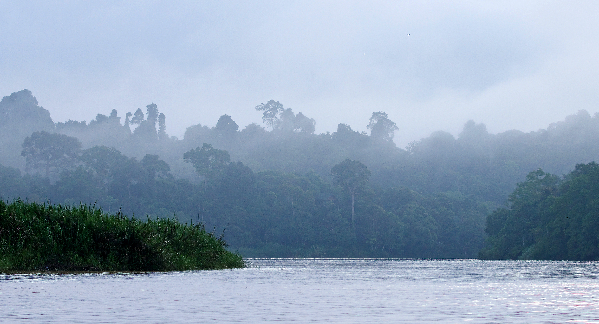 XL Borneo Kinabatangan River Fog