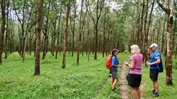 Xl Malaysia Langkawi Bike Tour Green Hikes