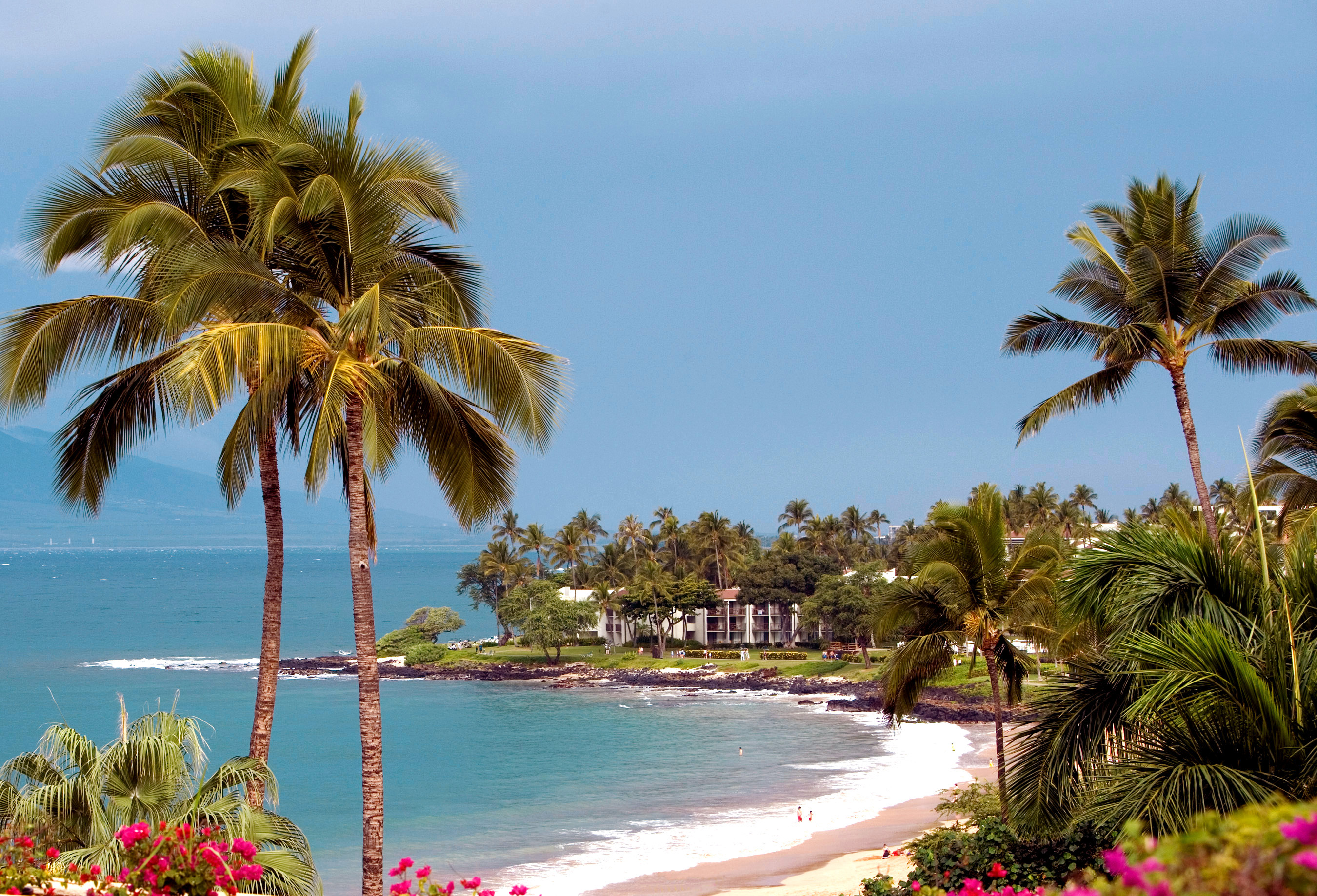 Xl Hawaii Wailea Beach Marriott Resort Spa Maui Waileabeach