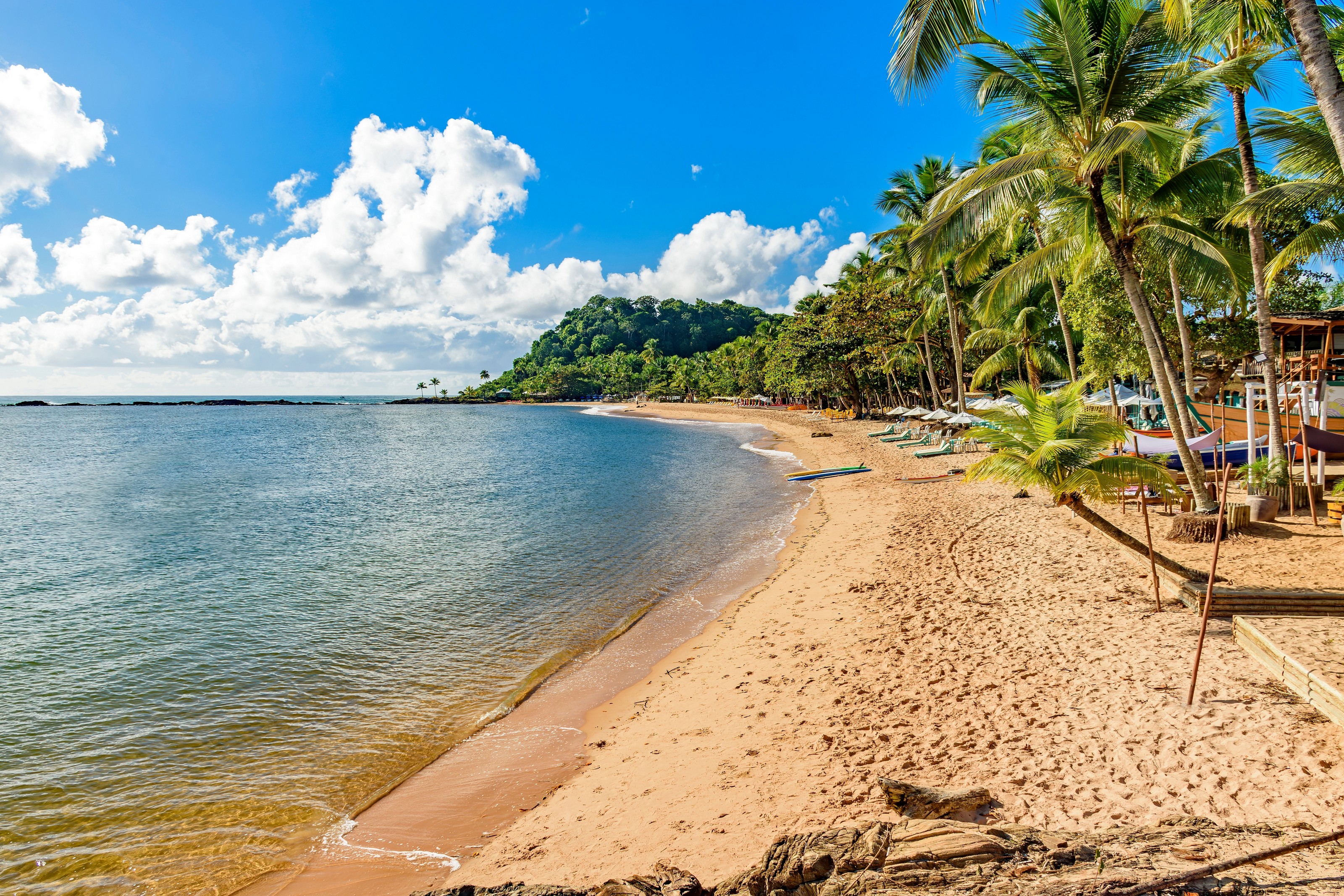 XL Brazil Concha Beach