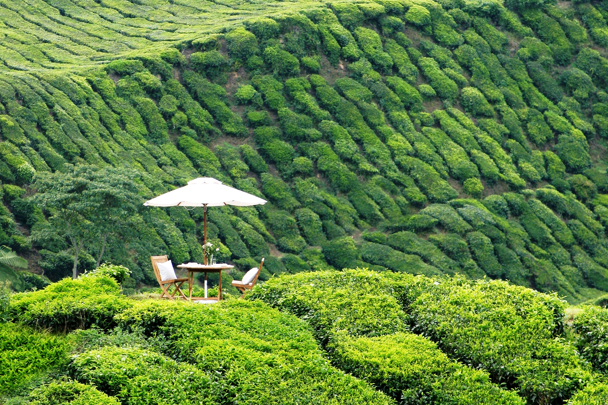 XL Malaysia Cameron Highlands Resort Experience View