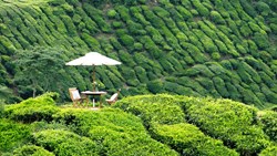 XL Malaysia Cameron Highlands Resort Experience View