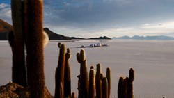 Xl Bolivia Kachi Lodge Aerial Cactus