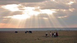 Xl Kenya Lodge Elephant Pepper Camp Bush Walk Late Afternoon People Elephants Animal