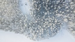 XL Sweden Aurora Safari Camp From Above