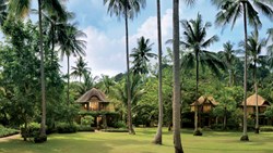 Xl Thailand Krabi Hotel Rayavadee Pavilions Coconut Trees