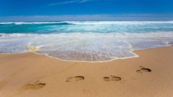 Xl Australia Victoria Great Ocean Road 12 Apostles Walk Beach