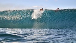 Xl French Polynesia Moorea Surfer Surfing Sport Wave