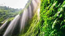 XL Indonesia Java Madakaripura Waterfall