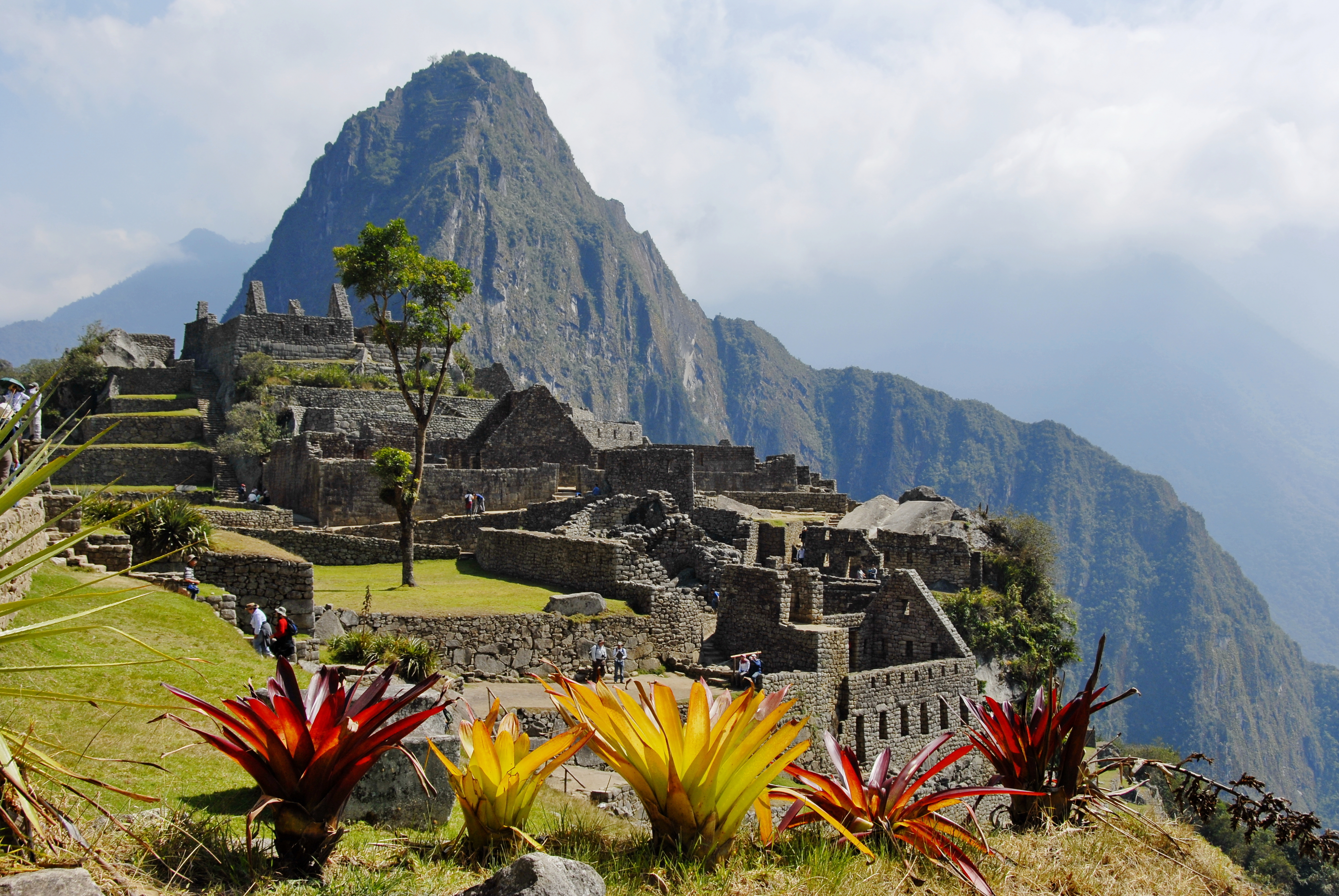 Xl Peru Sunlit Plants With Wayna Picchu