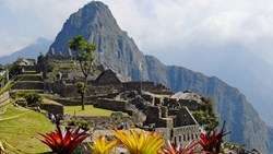 Xl Peru Sunlit Plants With Wayna Picchu