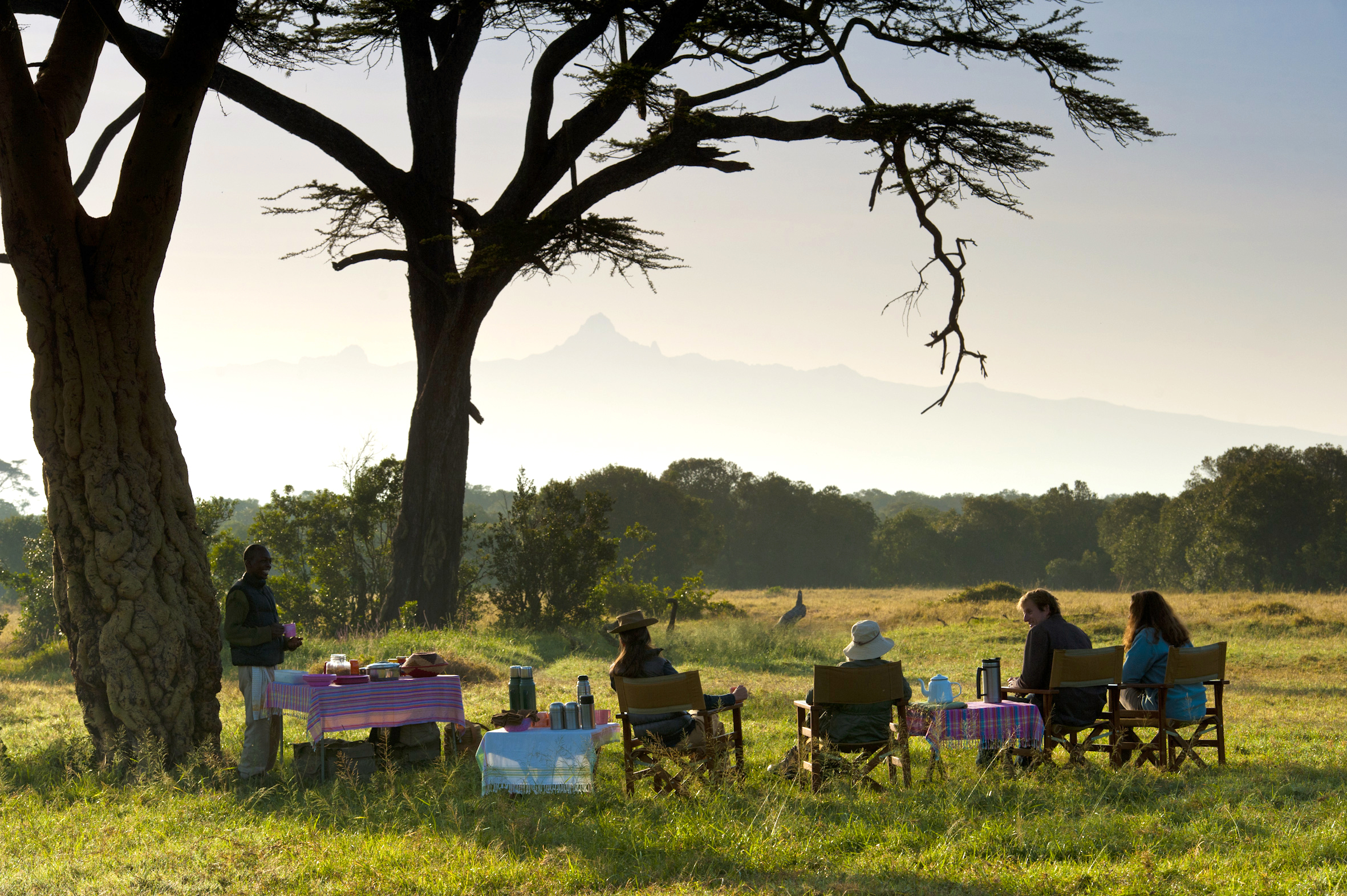 Xl Kenya Ol Pejeta Bush Camp Bush Breakfast