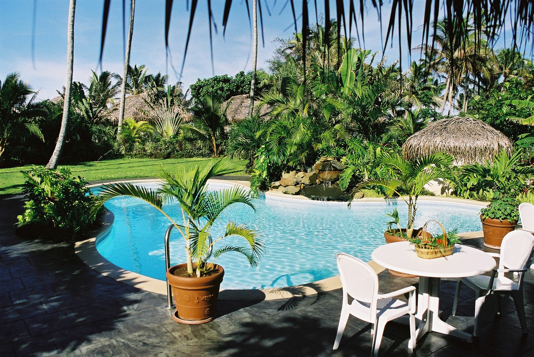 XL Motu Beachfront Art Villas Cook Islands Pool Area