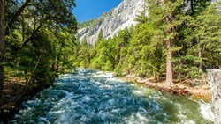 Xl Usa California Yosemite Merced River Mountain Trees