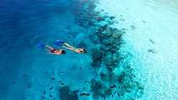 XL Maldives Vilamendhoo Snorkeling