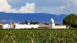 Xl Argentina Mendoza Vineyard Wine White Building