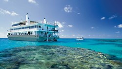 Xl Australia Queensland Coral Expeditions II Coral Great Barrier Reef