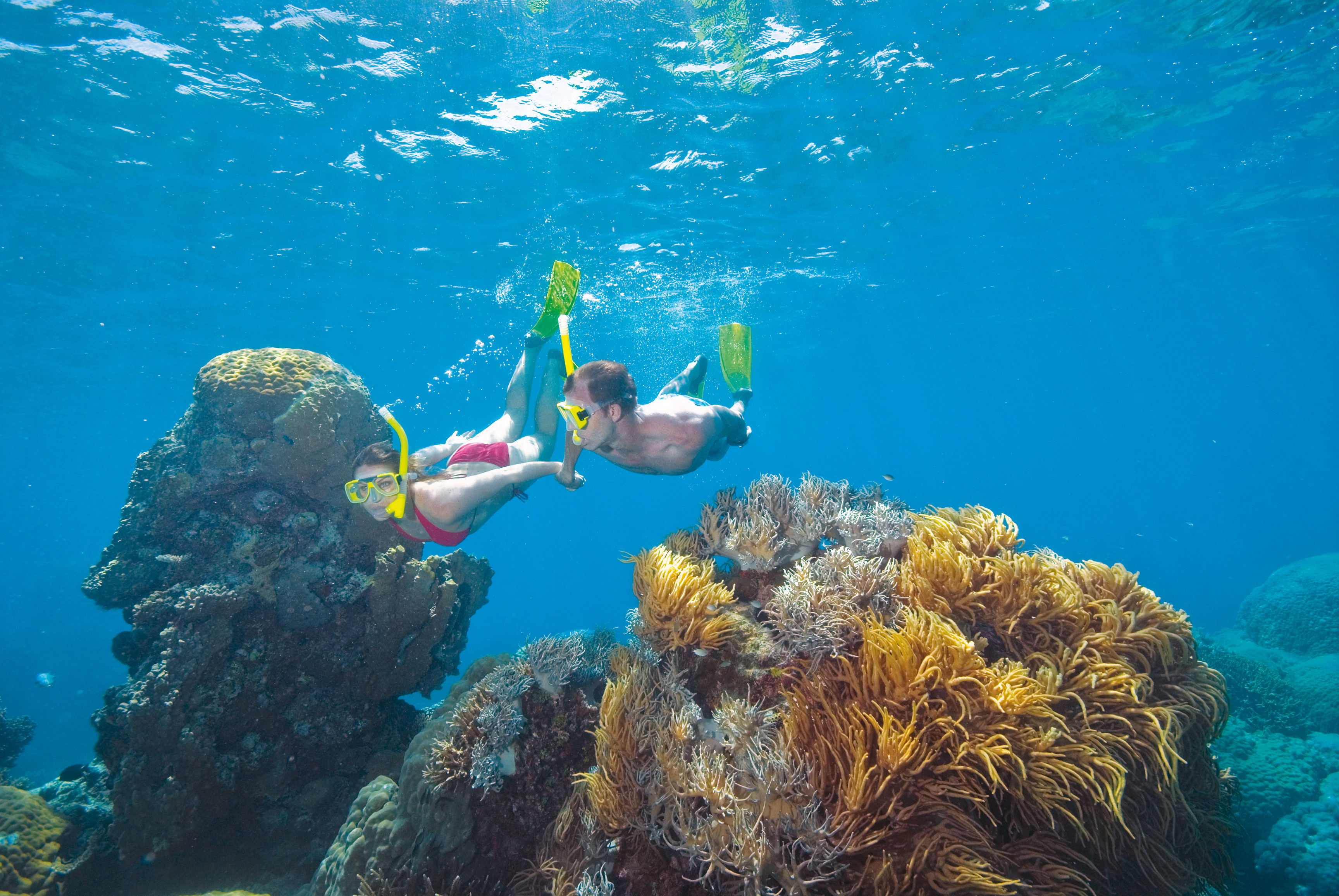 XL Australia Queensland Great Barrier Reef Snorkling Couple