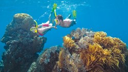 XL Australia Queensland Great Barrier Reef Snorkling Couple