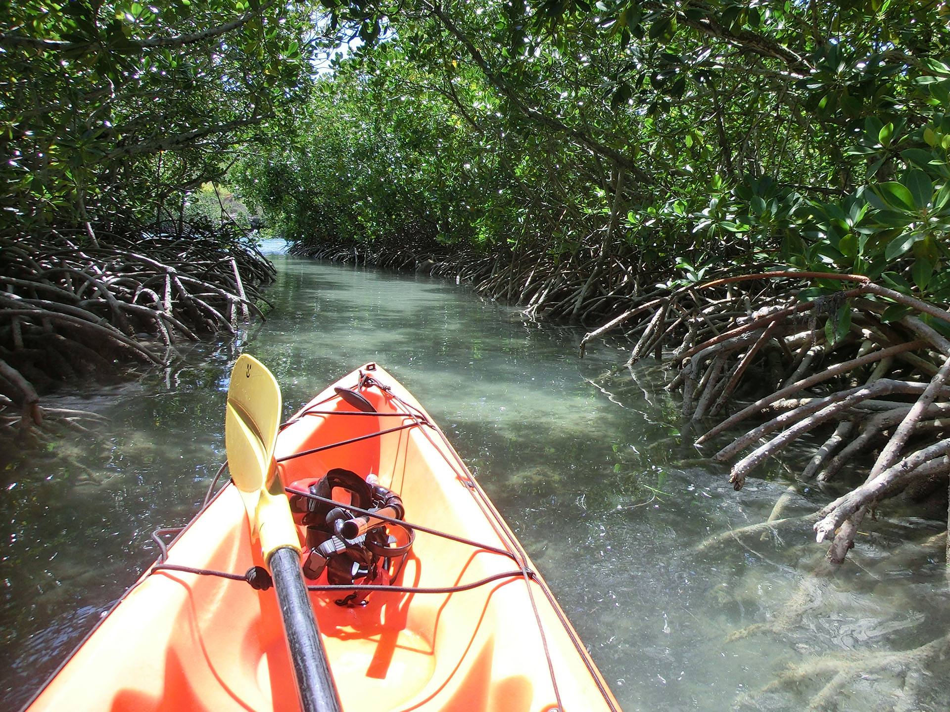 Small Mauritius Tailormade Kajak Mangrove