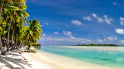 XL Cook Islands Aitutaki Beach Palmtrees