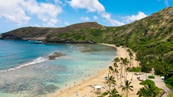 Xl Hawaii Beach People Coral Reef Palm Trees