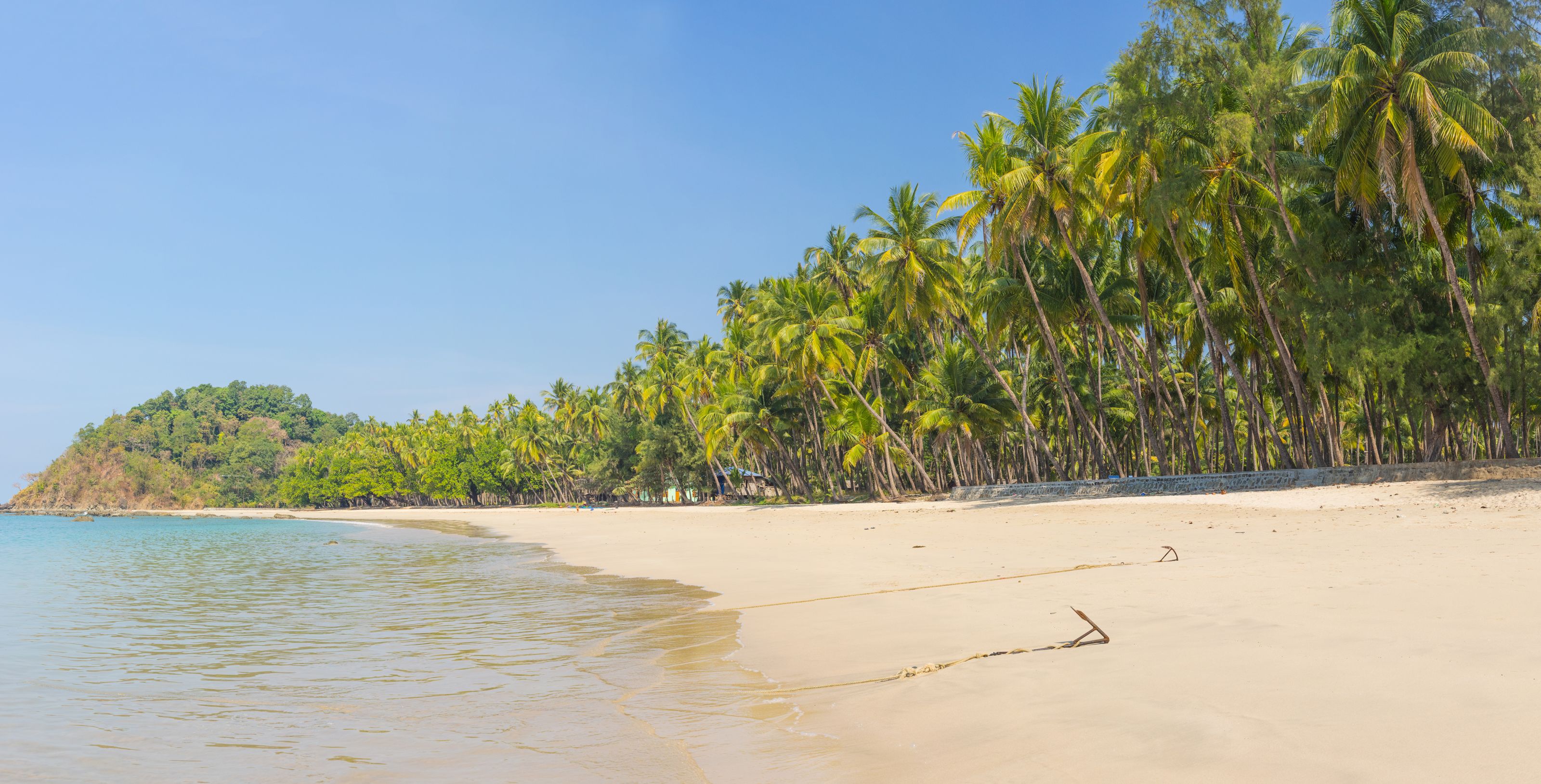 Xl Burma Ngapali Beach Palm Trees Myanmar