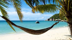 XL Thailand Koh Tao Haad Tien Hammock Beach