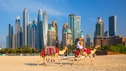 XL Dubai Dubai Marina Camels And Jumeirah Beach