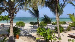 XL Africa Tanzania Zanzibar Next Paradise Boutique Resort Beach Palms Ocean