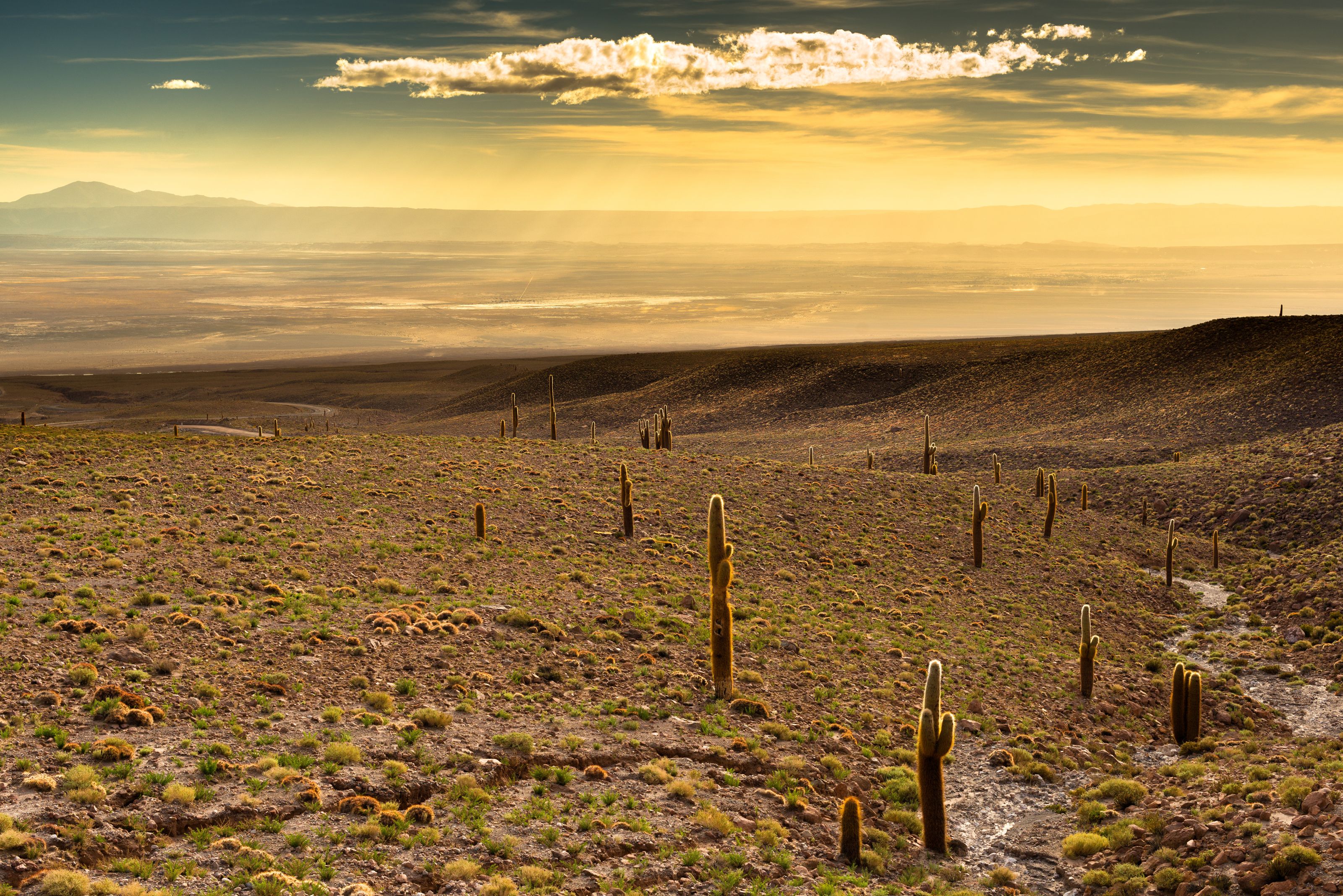 Xl Chile Atacama Desert Salar De Atacama View Sunset
