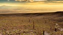 Xl Chile Atacama Desert Salar De Atacama View Sunset