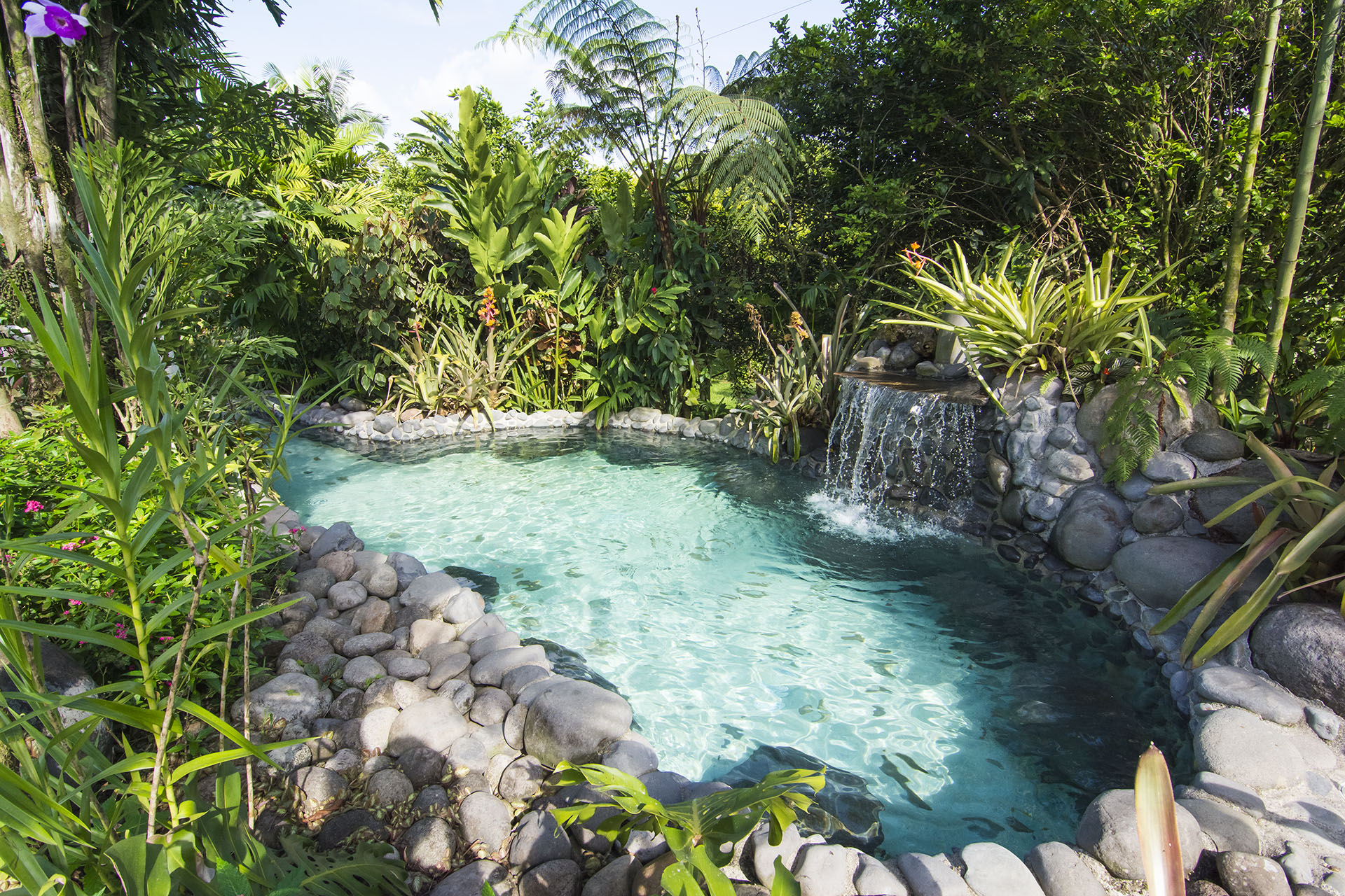 Xl Costa Rica Arenal Hotel Arenal Springs Pool Small Waterfall