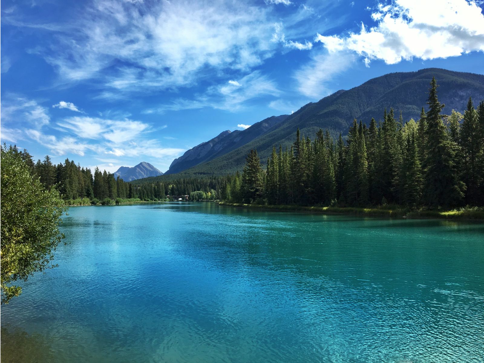 Xl Banff Nationalpark Canada Bow River Nature
