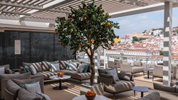 Xl Cruise Silversea Nova Ray Orange Garden
