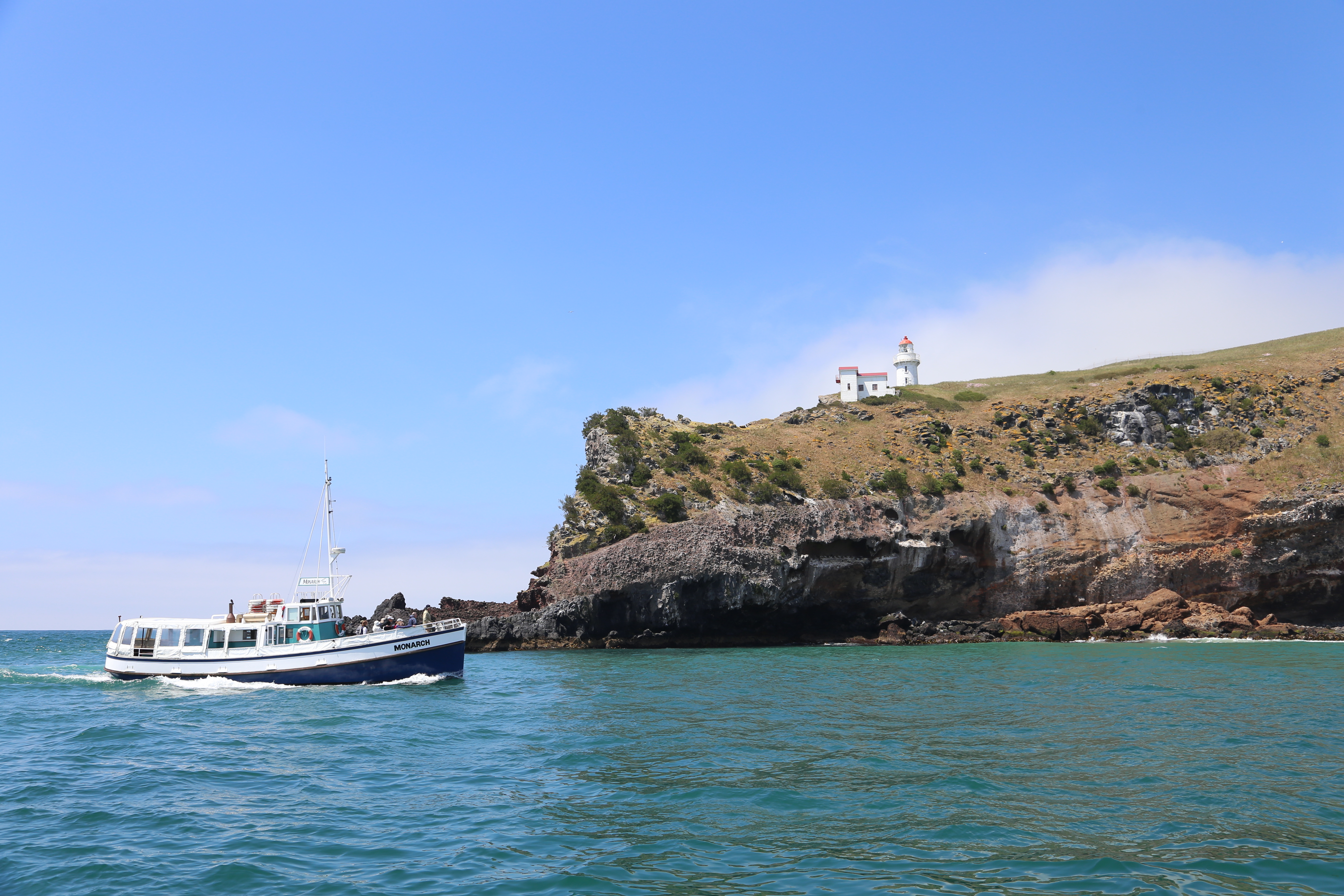 Xl New Zealand Otago Boat Monarch Taiaroa Head