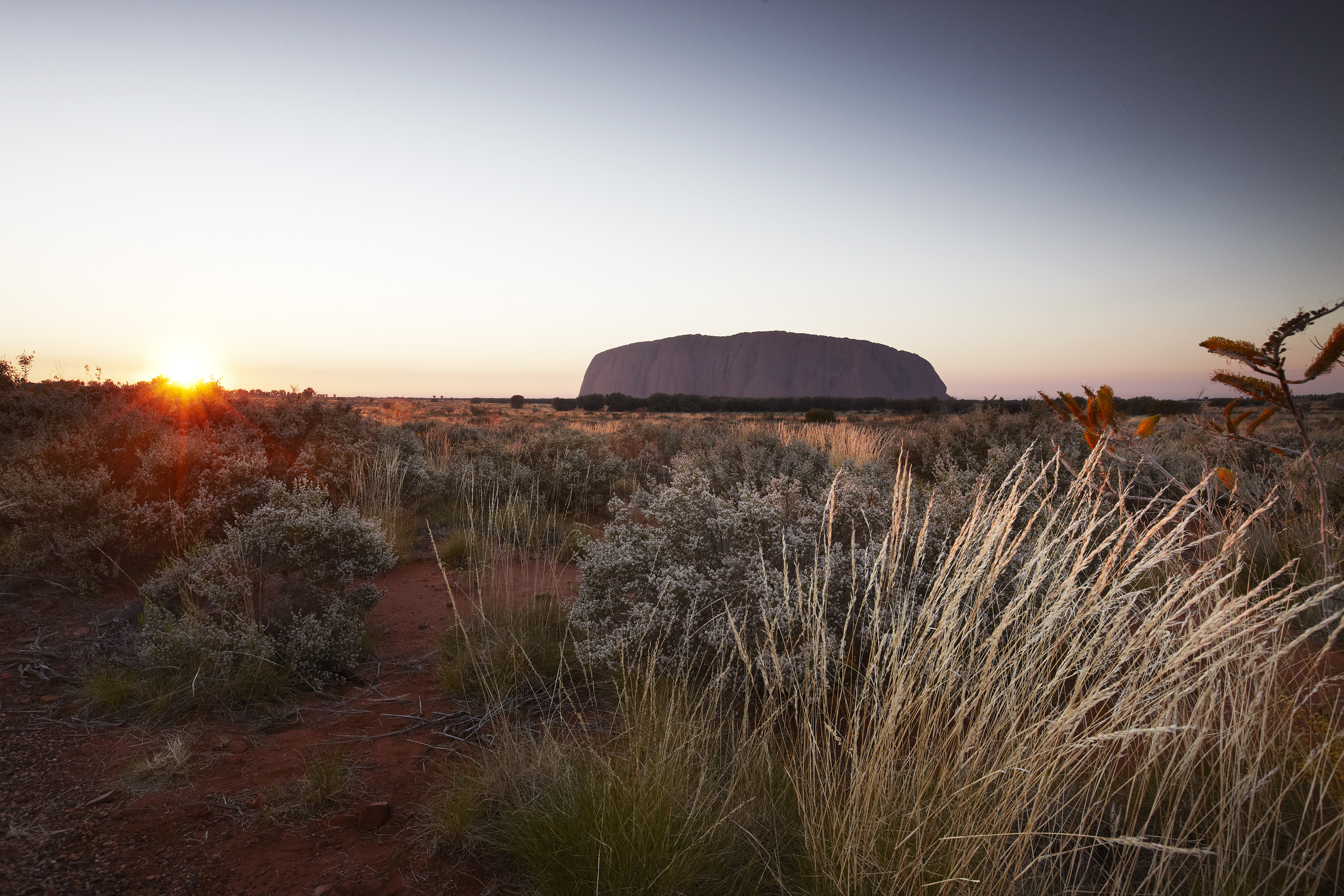 Xl Australia Sunrise Over Uluru (Ayers Rock)