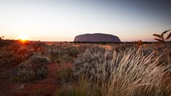Xl Australia Sunrise Over Uluru (Ayers Rock)